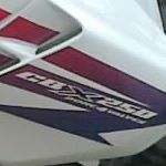 Avatar de Usuario