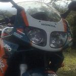 Avatar de Usuario