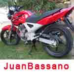 Avatar de Usuario