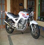 Avatar de Usuario