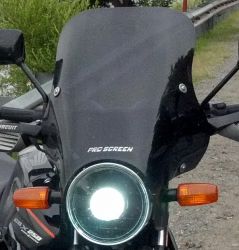 Proscreen Parabrisas