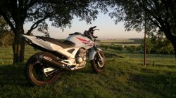 Cott Escape completo