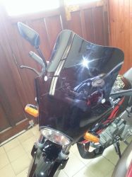 Proscreen Parabrisas