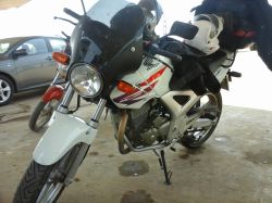 Proscreen Parabrisas