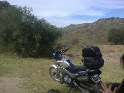 Proscreen Parabrisas