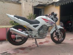 Tork Caballete