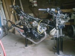 Yoshimura Escape Yoshimura