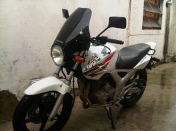 Proscreen Parabrisas