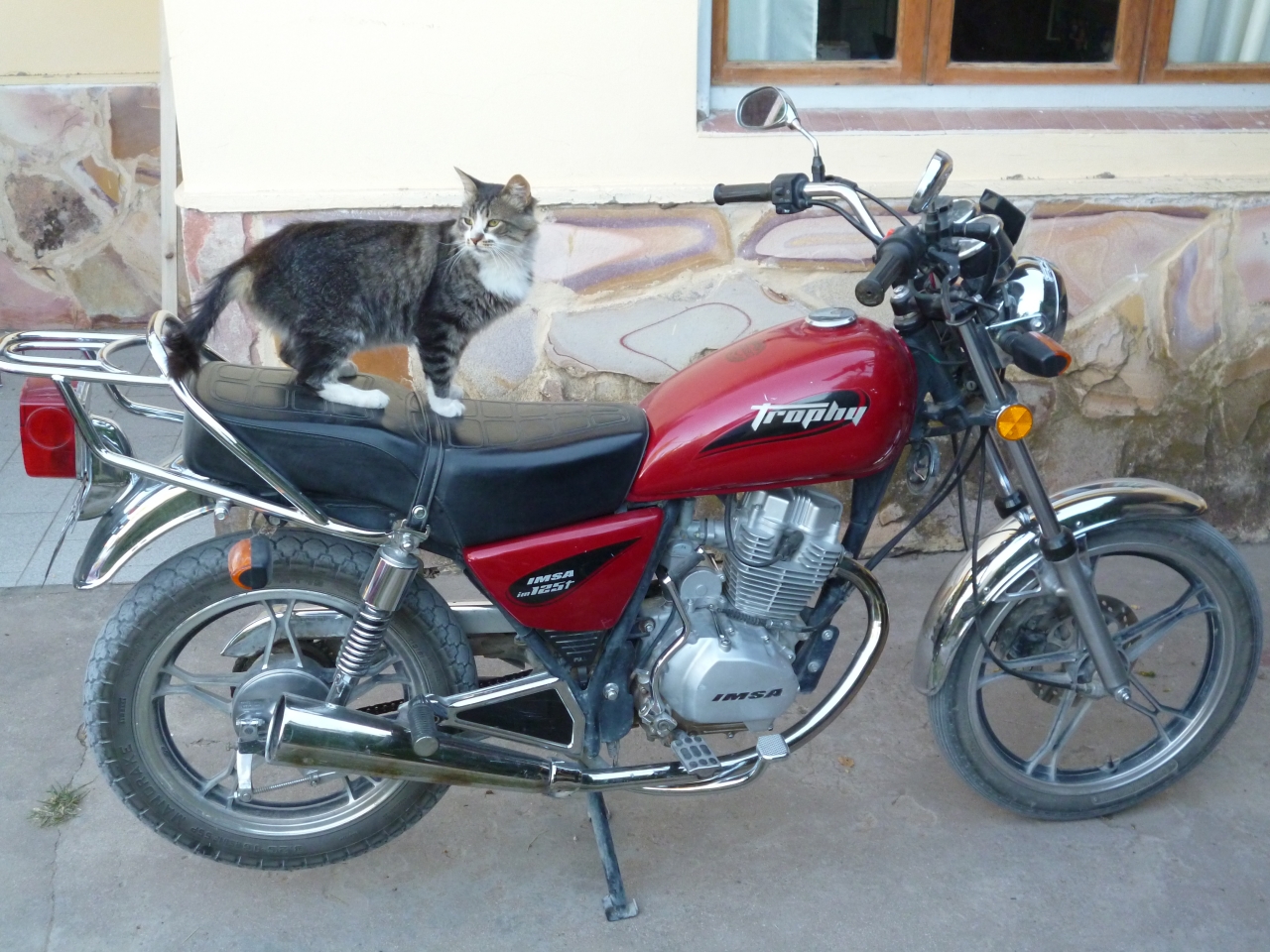 P1000491.JPG