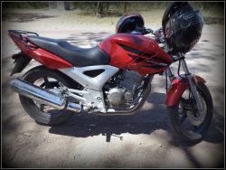 2010 Honda CBX 250 Twister