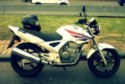 IMG-20131013-00088.jpg