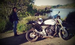 2009 Honda CB 600F Hornet