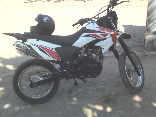 IMG320.jpg
