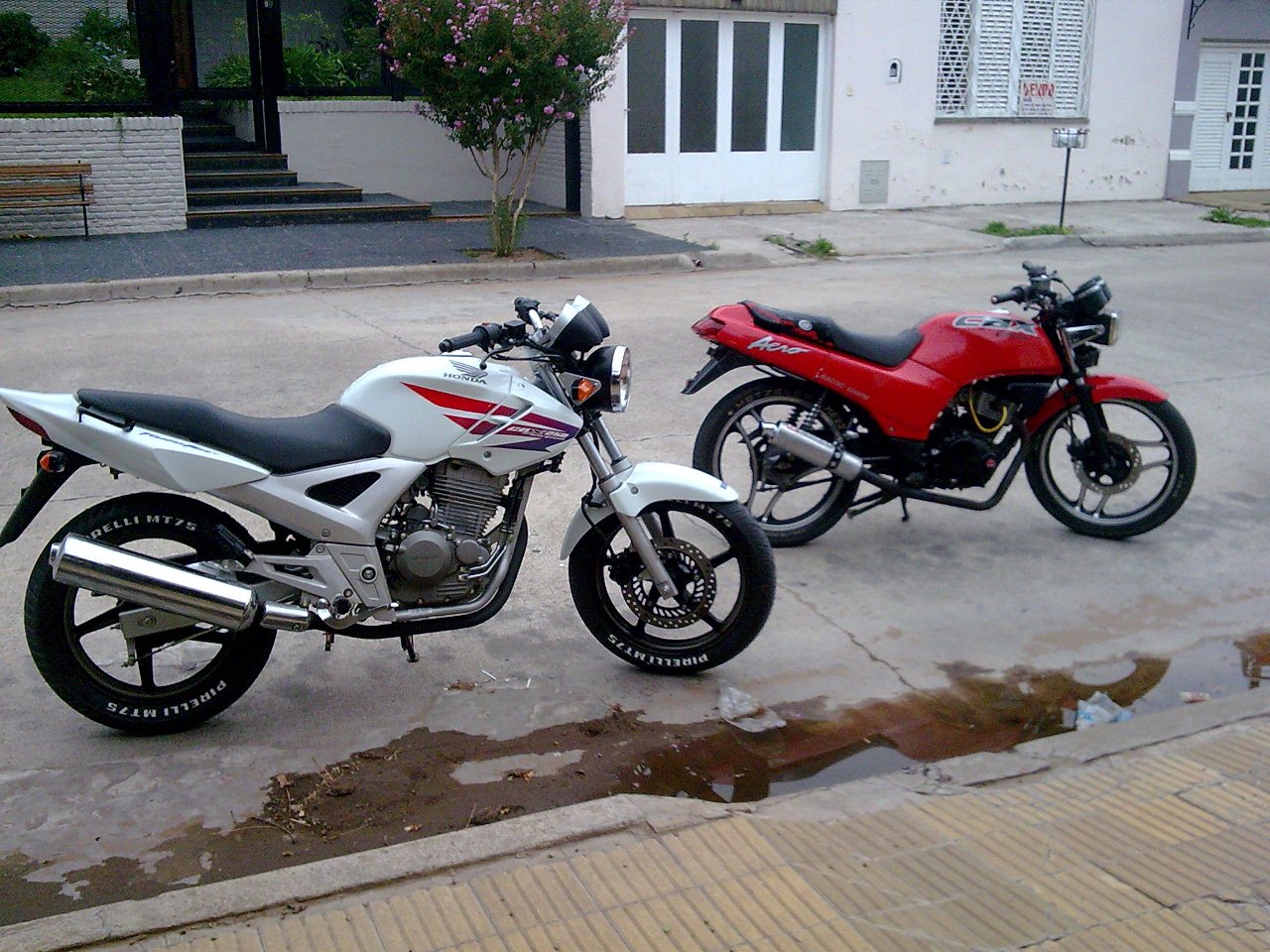 Imagen0010.jpg