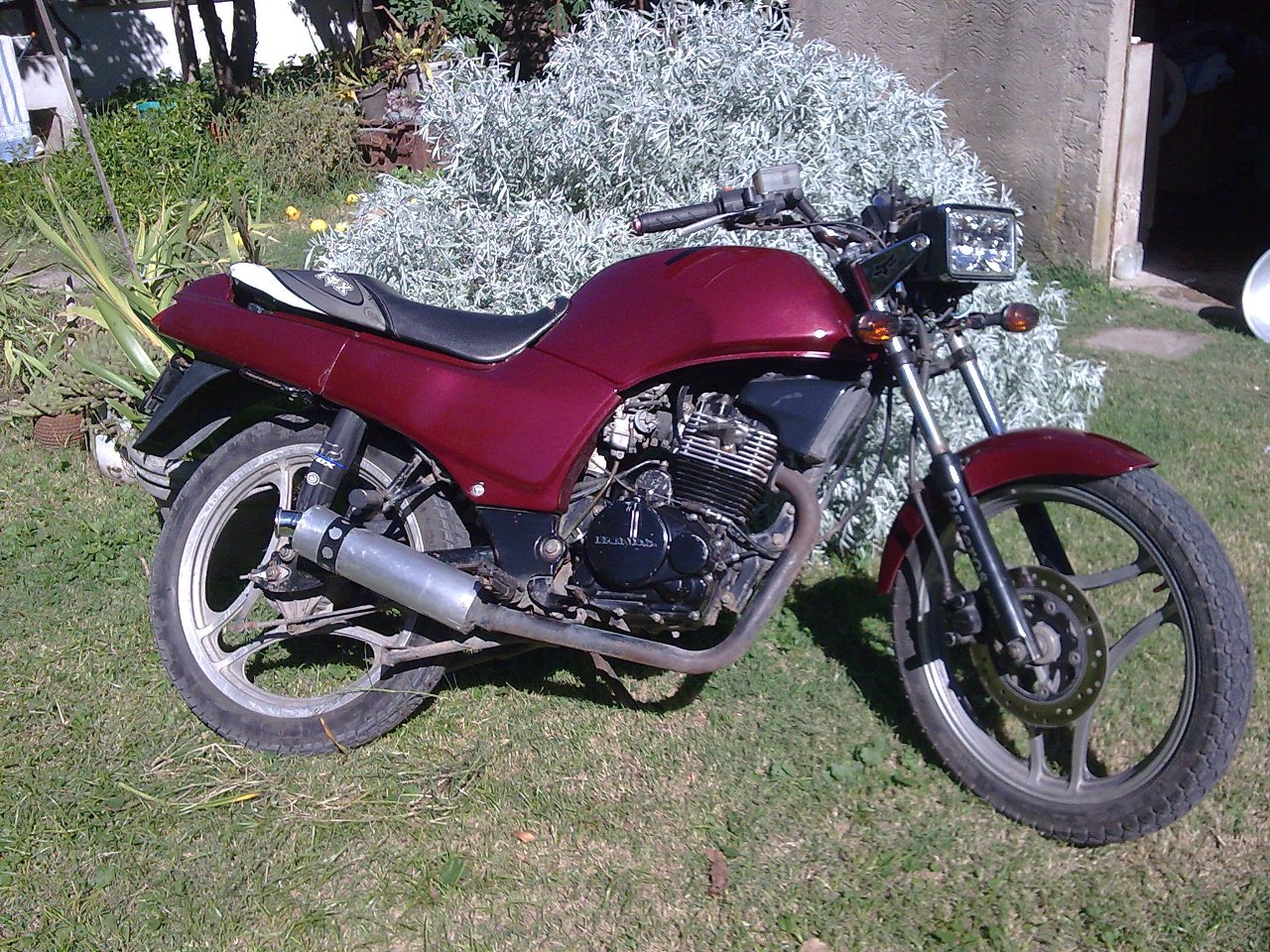 Imagen286.jpg