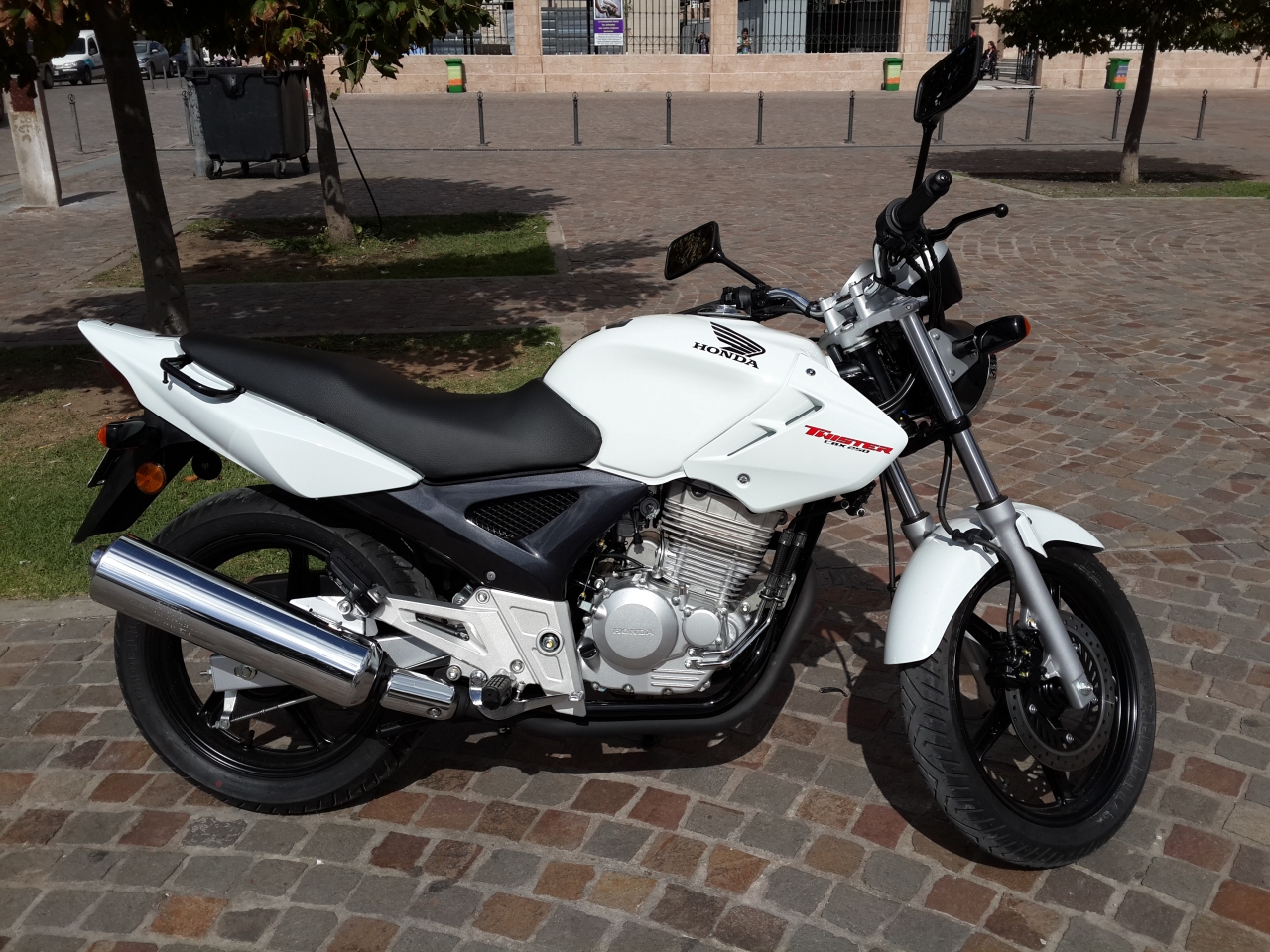 20140401_114515.jpg