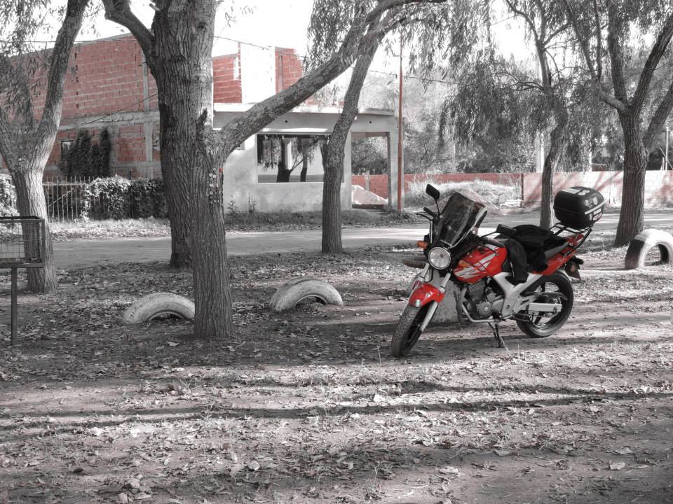 10294391_10204028463977902_3151961030276911766_n.jpg