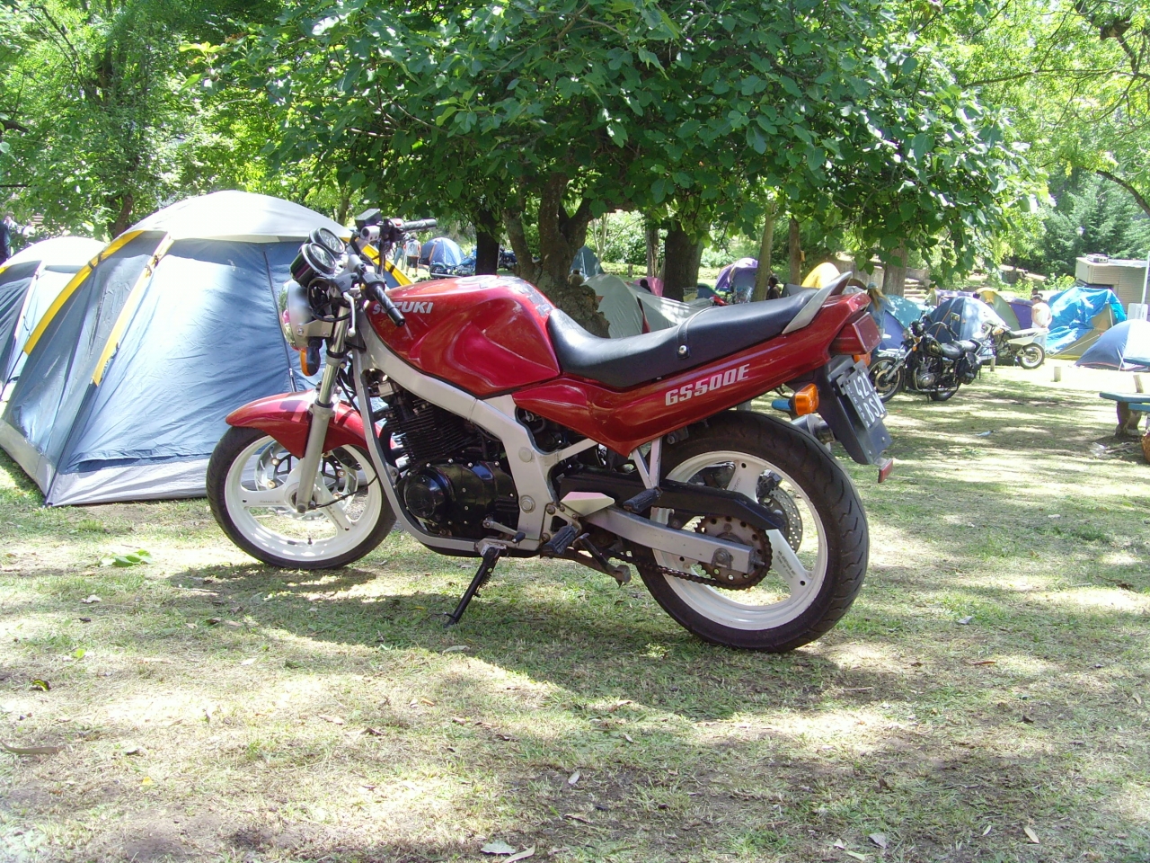 SNV31016.JPG