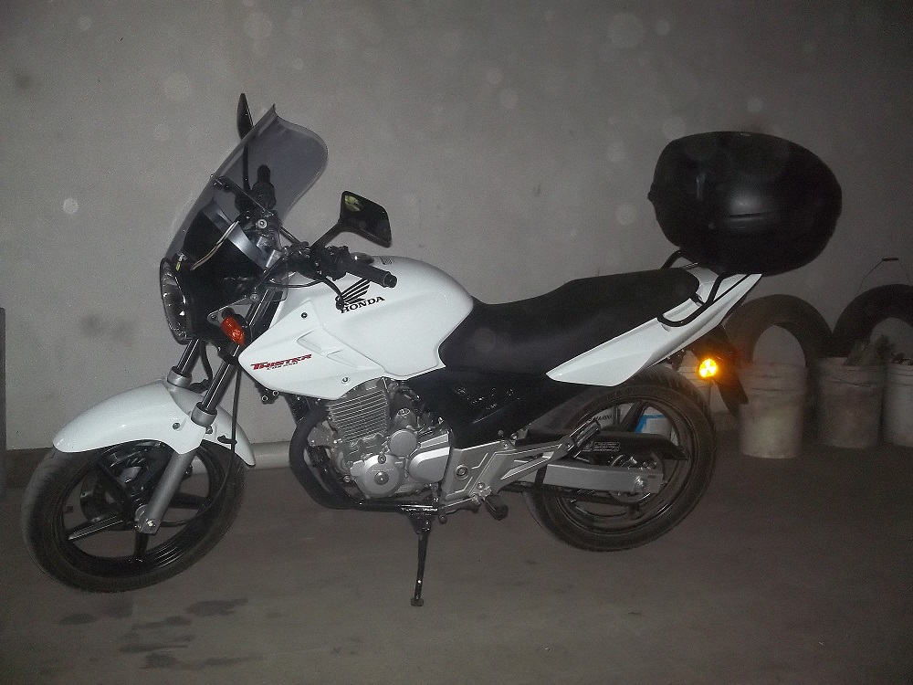 100_1030.JPG