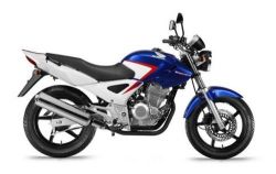 2014 Honda CBX 250 Twister
