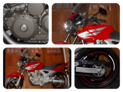 2013 Honda CBX 250 Twister