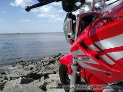 img00196.jpg