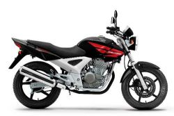 2013 Honda CBX 250 Twister