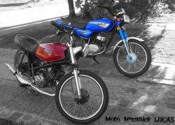 1981 Honda MB 100