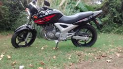 2012 Honda CBX 250 Twister