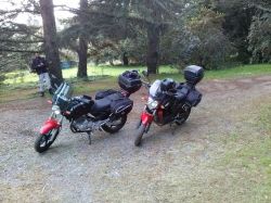 2015 Honda CBX 250 Twister