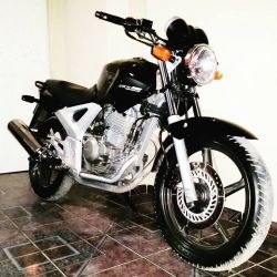 2008 Honda CBX 250 Twister