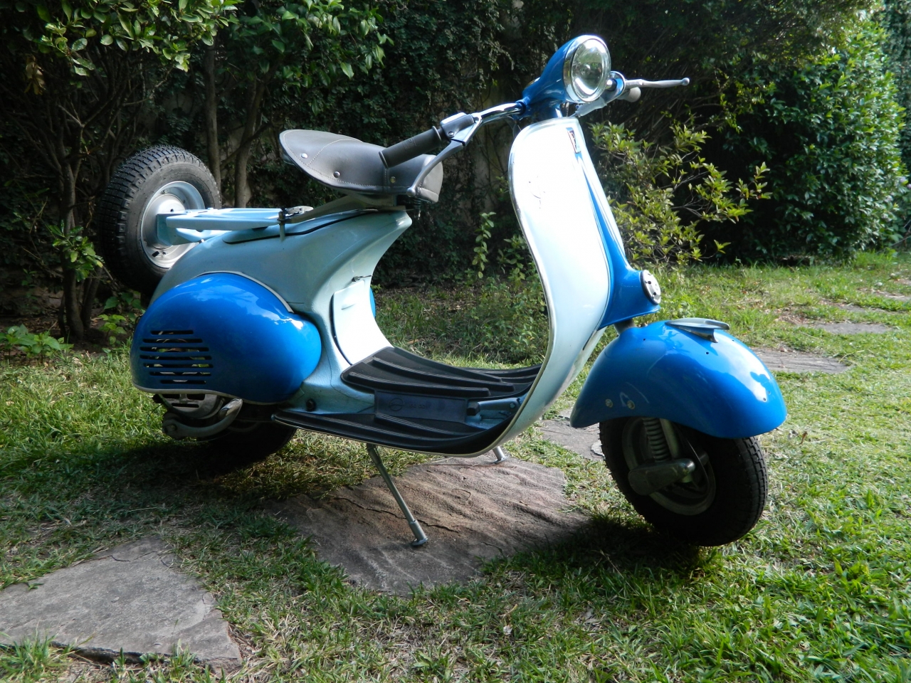 DSCN0274.JPG