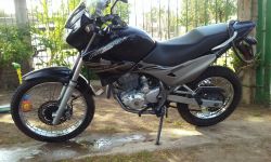 2012 Honda NX4 Falcon