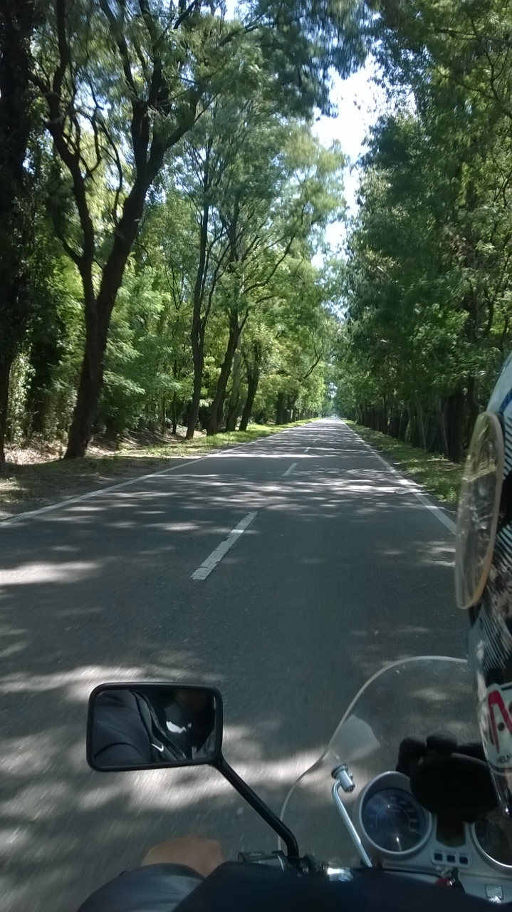 WP_20150318_014.jpg