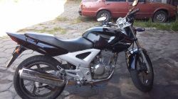 2008 Honda CBX 250 Twister