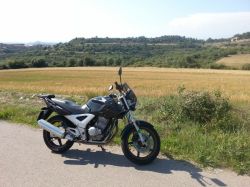 2006 Honda CBX 250 Twister