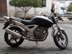 2006 Honda CBX 250 Twister