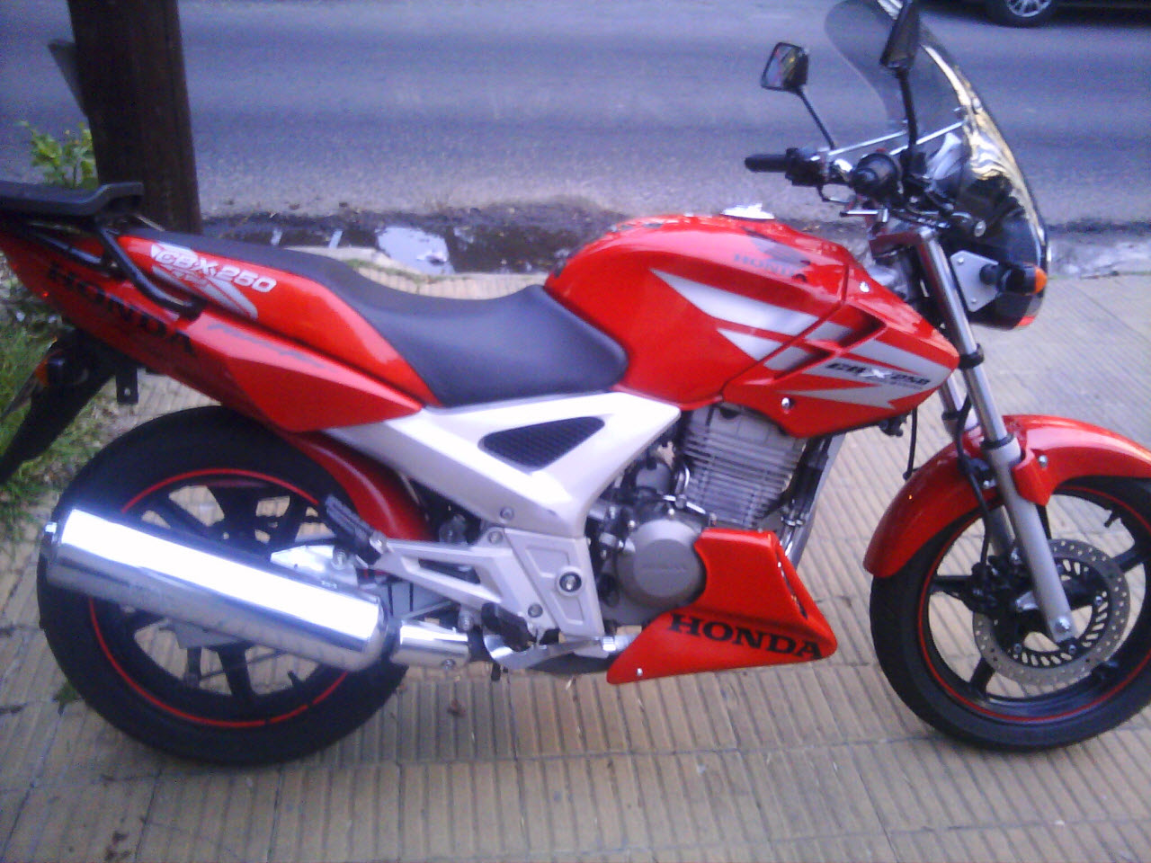 20110731181107.jpg