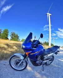 2004 Honda Transalp 650