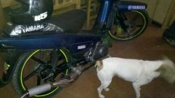 2000 Yamaha Sigma