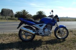 2001 Honda CBX 250 Twister