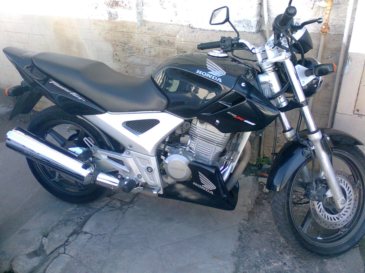 Imagen0127.jpg