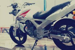 2013 Honda CBX 250 Twister