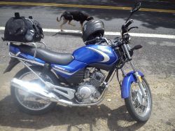 2010 Yamaha YBR 125
