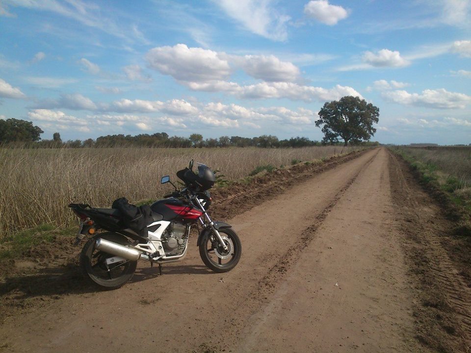 cbx250.jpg