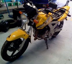 2008 Honda CBX 250 Twister