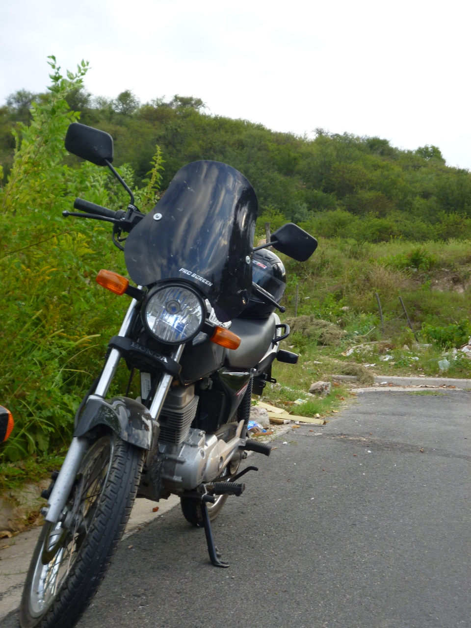 P1100726.JPG