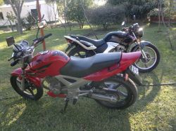 2008 Honda CBX 250 Twister