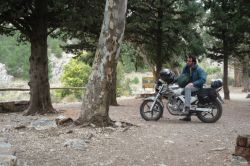 2008 Honda CBX 250 Twister
