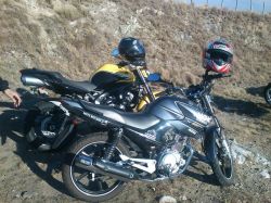 2013 Yamaha YBR 125 ED Factor